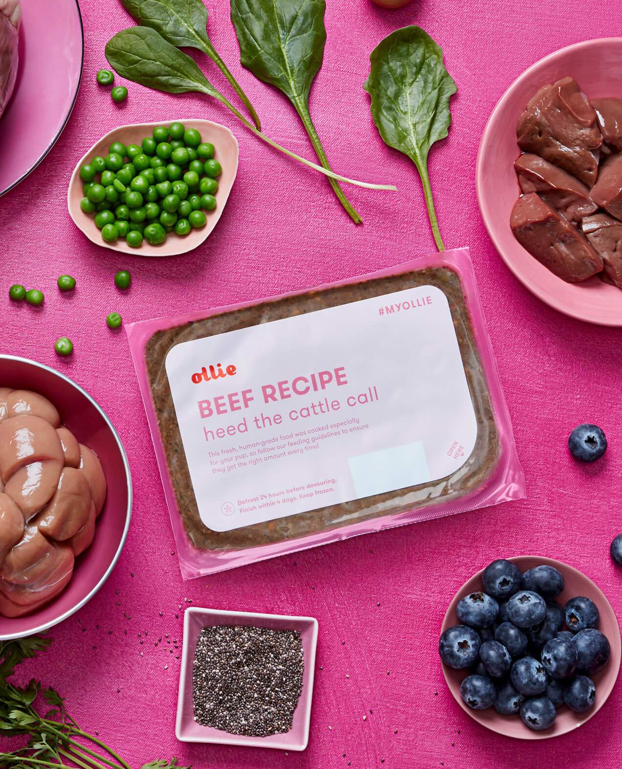 ollie dog food pricing