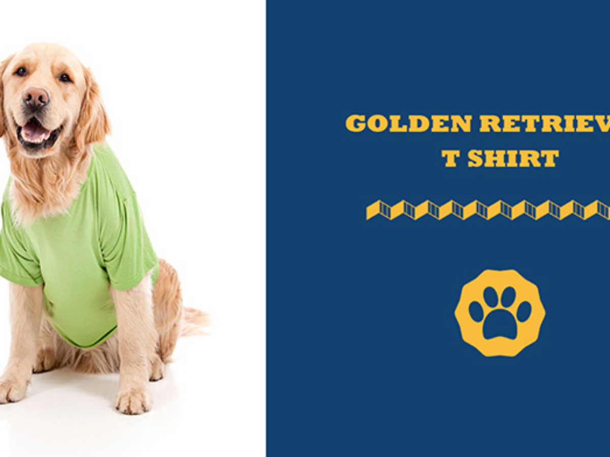 Best Golden Retriever T-Shirt In 2026  5 Stylish Picks