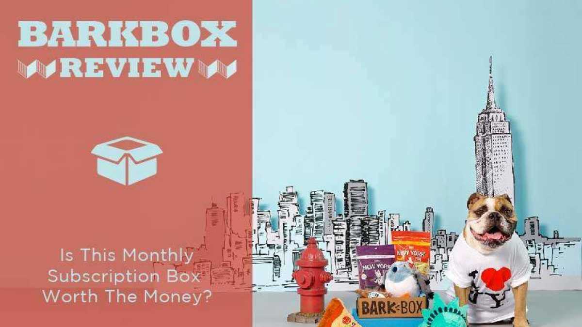 Barkbox Monthly Plans atelieryuwa.ciao.jp