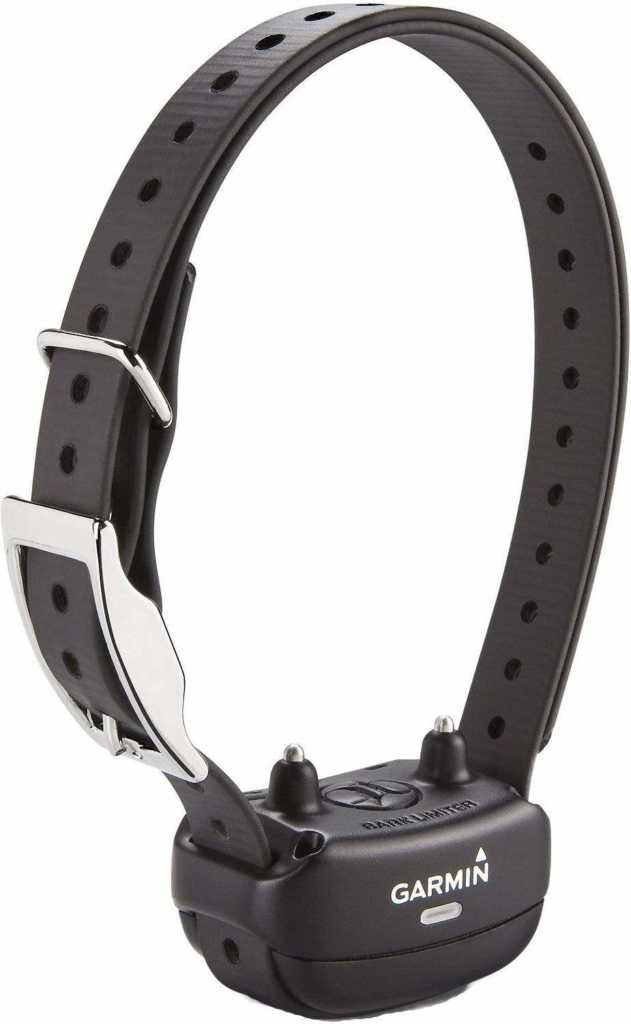 5 Best Dog Training Collars In 2023 Totally Goldens