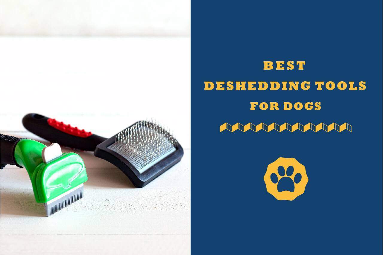 What Is The Best Deshedding Tool For Dogs? [2020 Review & Guide]
