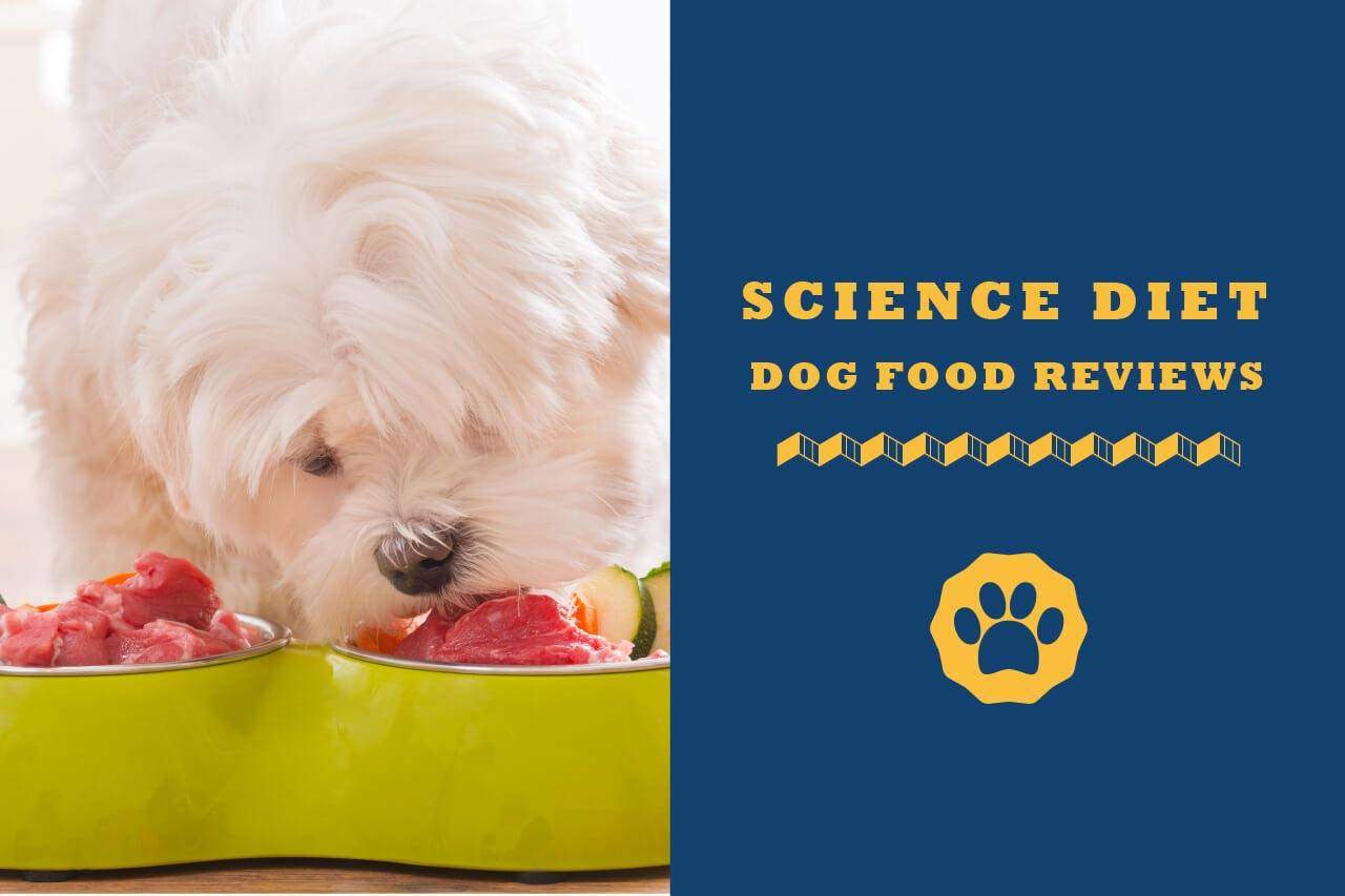 How Does Science Diet Dog Food Rate