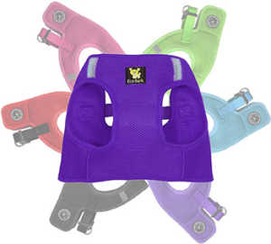 EcoBark Step In Dog Harness 