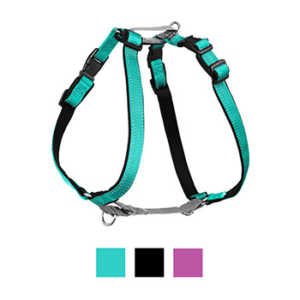 PetSafe 3-In-1 Harness