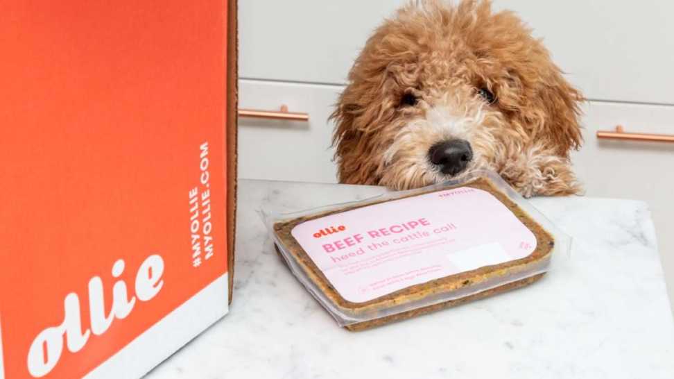 Ollie Dog Food 2021 Review Healthy menus for your Golden Retriever