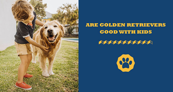 Are Golden Retrievers Good With Kids