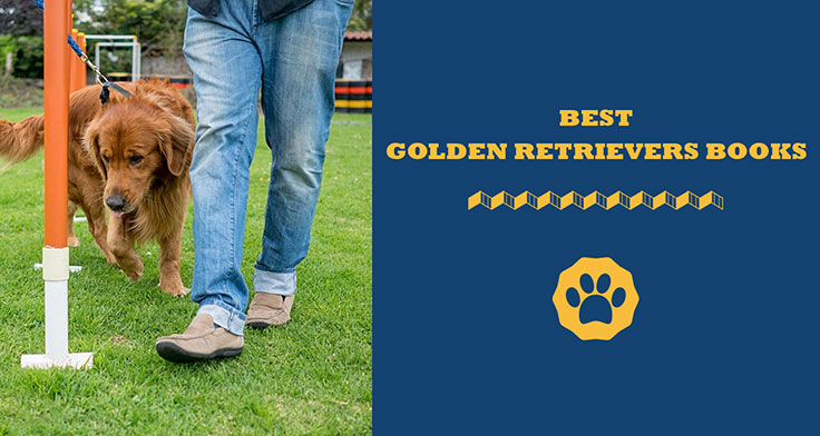 Best golden retrievers books