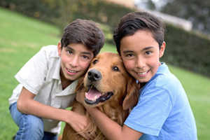 Golden Retrievers & Older Kids