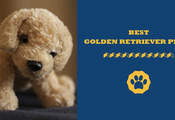 best golden retriever plush
