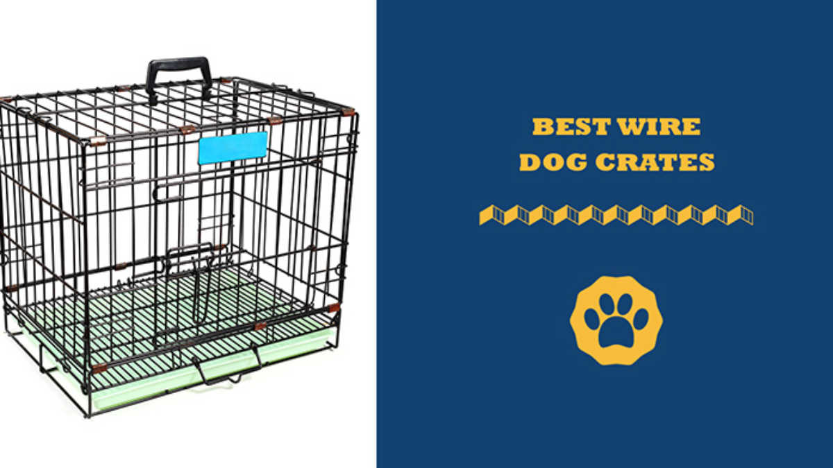 MIDWEST Ultima Pro Double Door Collapsible Wire Dog Crate, 42 Inch