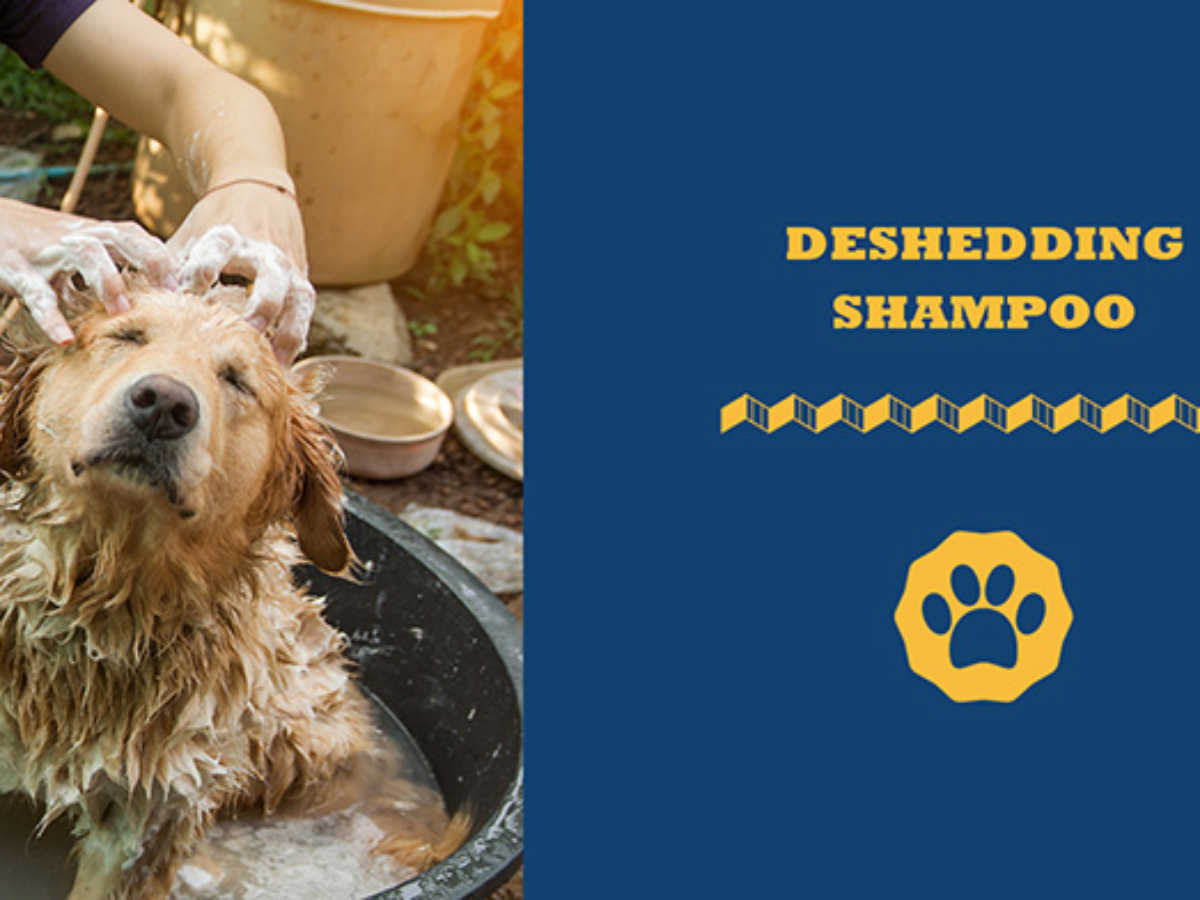 Is Deshedding Good For Dogs