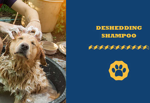 Deshedding Shampoo