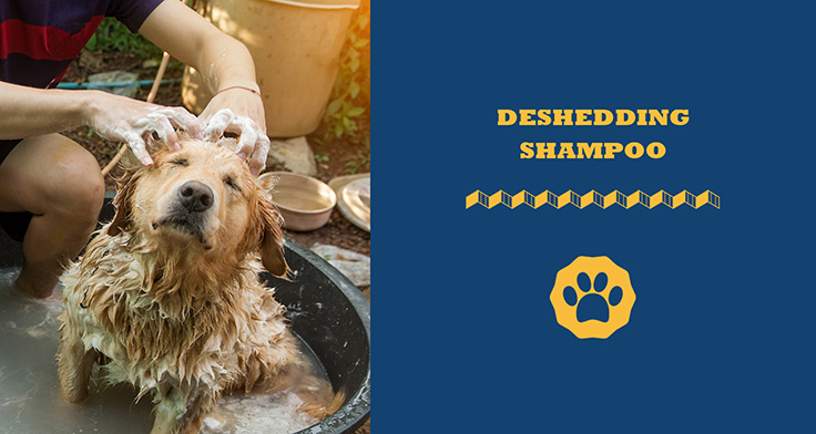 Deshedding Shampoo