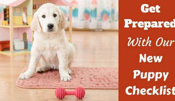 New puppy checklist written beside a golden retriever pup sitting behind a red bone chew toy