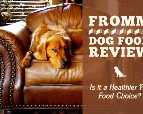 fromm dog food review