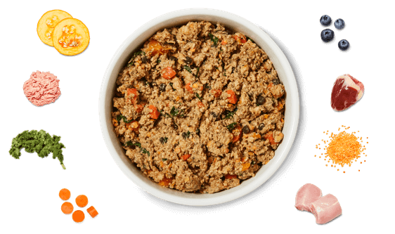 Healthy Turkey Feast
