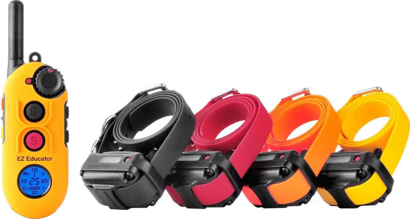 5 Best Dog Training Collars In 2024 Totally Goldens