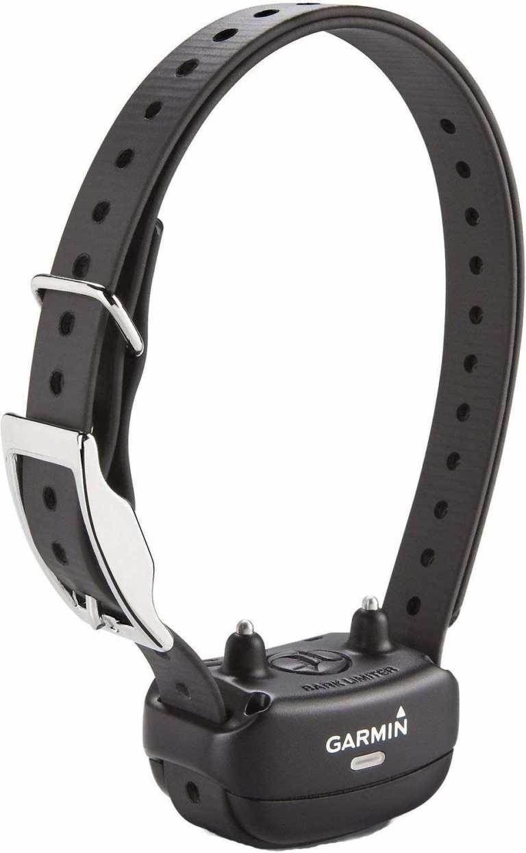 5 Best Dog Training Collars In 2024 Totally Goldens