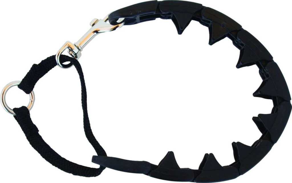 5 Best Dog Training Collars In 2024 Totally Goldens