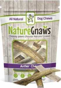 Nature Gnaws Deer Antlers
