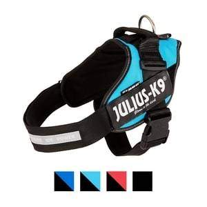 Julius-K9 Powerharness Dog Harness