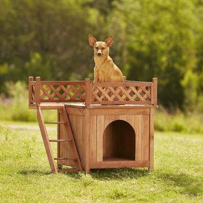 outdoor dog house