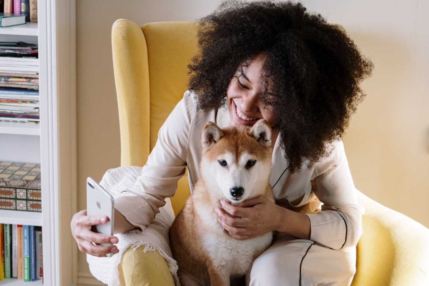 Best Toys for Anxious Dogs