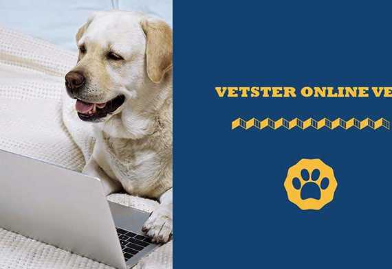 Vetster online vet