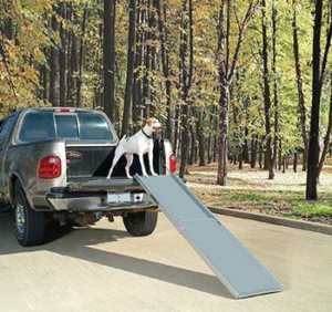 PetSafe Happy Ride Telescoping Dog Car Ramp