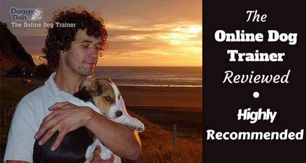 The online dog trainer review written beside Dan with his puppy Moses on a beach in front of a sunset