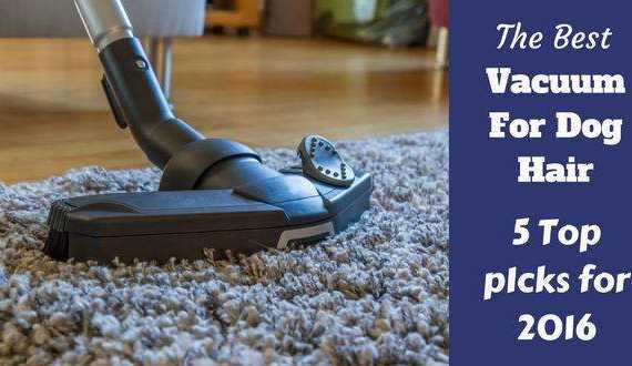 Best vacuum for dog hair written beside a hoover head cleaning a deep rug