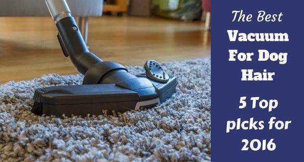 Best vacuum for dog hair written beside a hoover head cleaning a deep rug