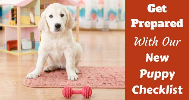 New puppy checklist written beside a golden retriever pup sitting behind a red bone chew toy