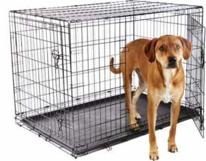 Frisco Fold & Carry Double Door Dog Crate
