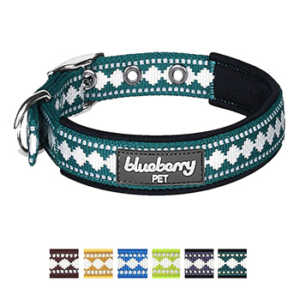 Blueberry Pet Classic Solid Neoprene Padded Dog Collar With Jacquard Pattern