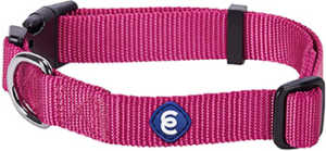 Blueberry Pet Essentials Dog Collar 