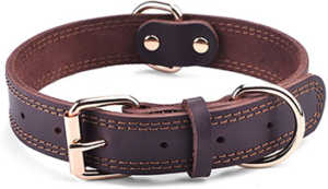 DAIHAQIKO Leather Dog Collar