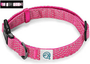 Embark Illuminate Reflective Dog Collar