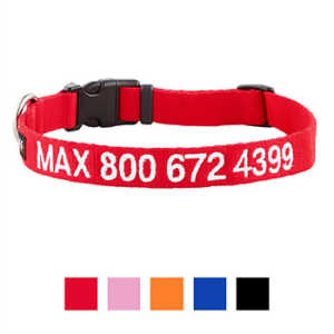 GoTags Personalized Nylon Dog Collar