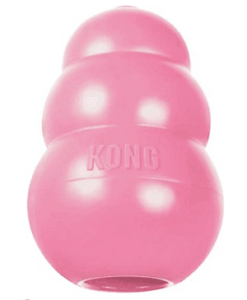 kong puppy dog toy