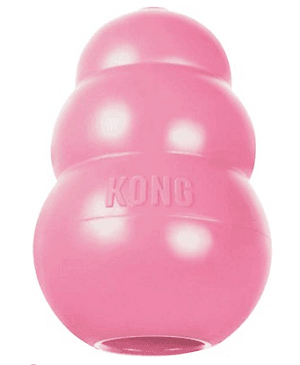 kong puppy dog toy