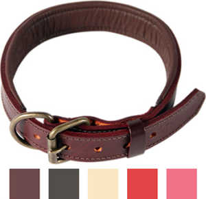 Logical Leather-Padded Dog Collar