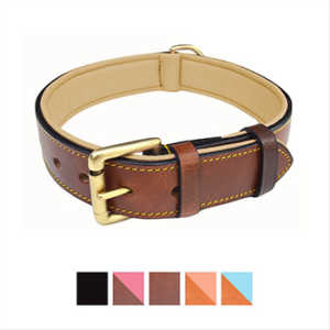 Two-Tone Leather Padded Collar From Soft Touch