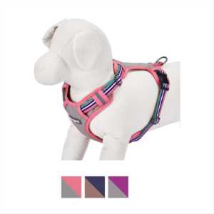 Blueberry Pet 3M Reflective Multi-Colored Stripe Padded Dog Harness 
