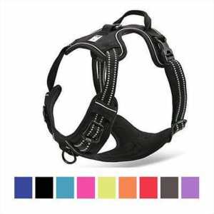 Chai’s Choice 3M Reflective Dog Harness