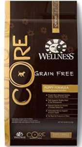 Wellness CORE Grain-Free Puppy Chicken & Turkey Recipe Dry Dog Food