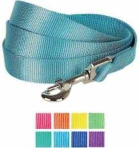 Blueberry Pet Classic Solid Dog Leash
