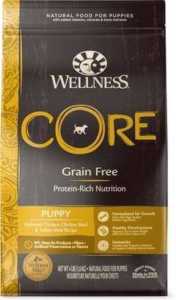 Wellness CORE Grain-Free Puppy Chicken & Turkey Recipe