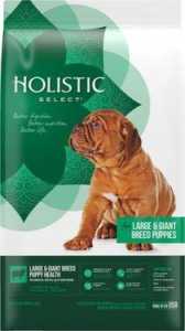 Holistic Select Natural Dry Dog Food Large & Giant Breed Puppy Lamb