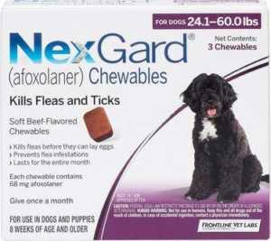 NexGard Chewable Tablets For Dogs